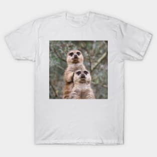 Meerkat 035 T-Shirt